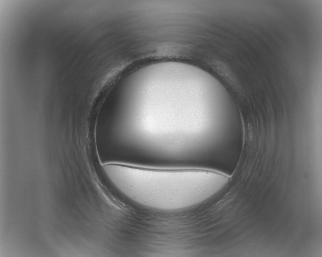 X0000062640588200512211009