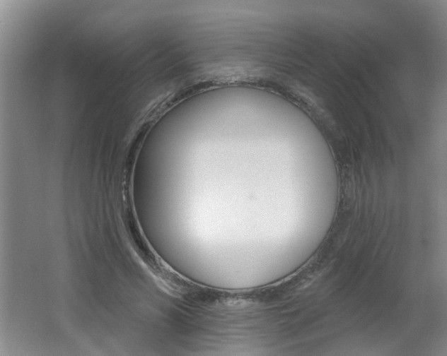 X0000062640590200512211009
