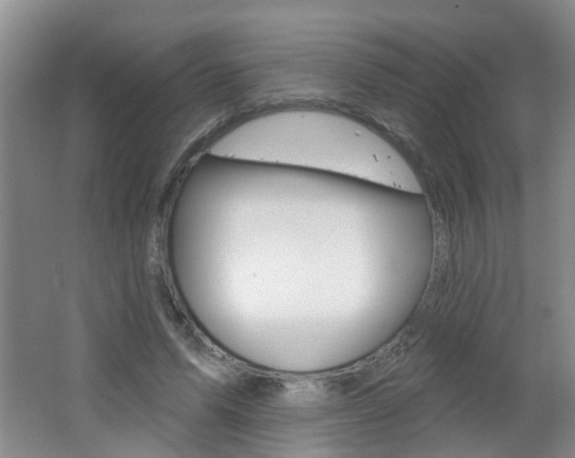 X0000062640591200512211009