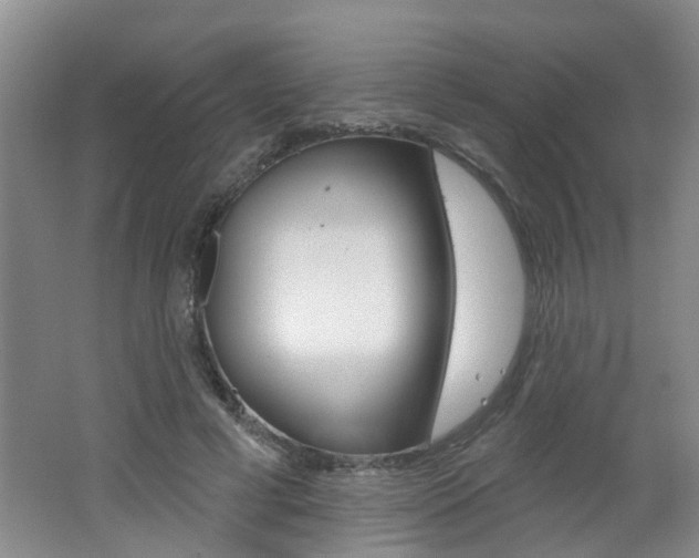 X0000062640593200512211009
