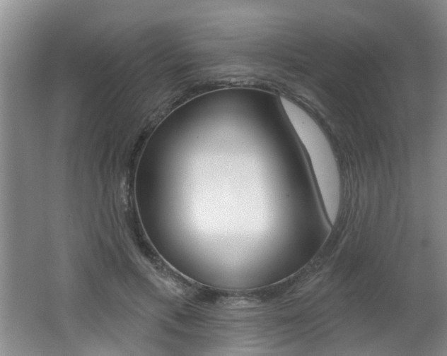 X0000062640597200512211009