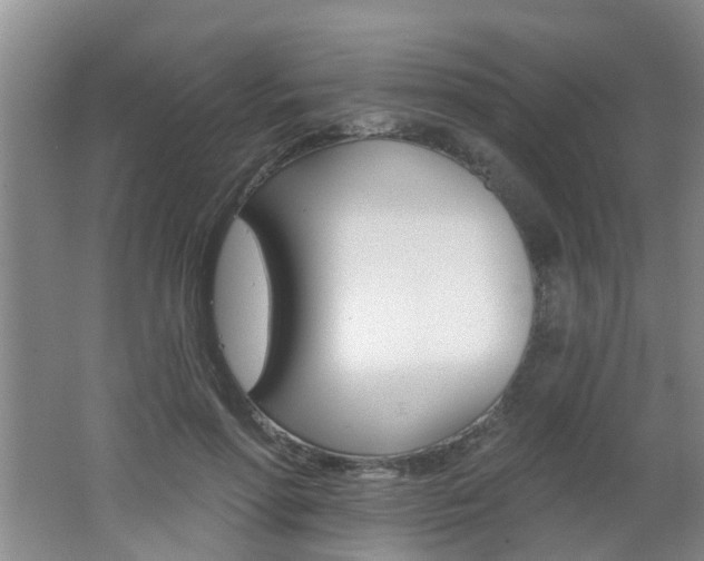 X0000062640598200512211009