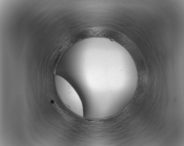 X0000062640602200512211009