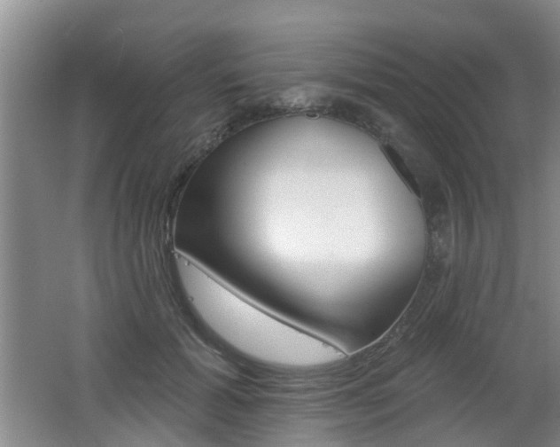 X0000062640605200512211009
