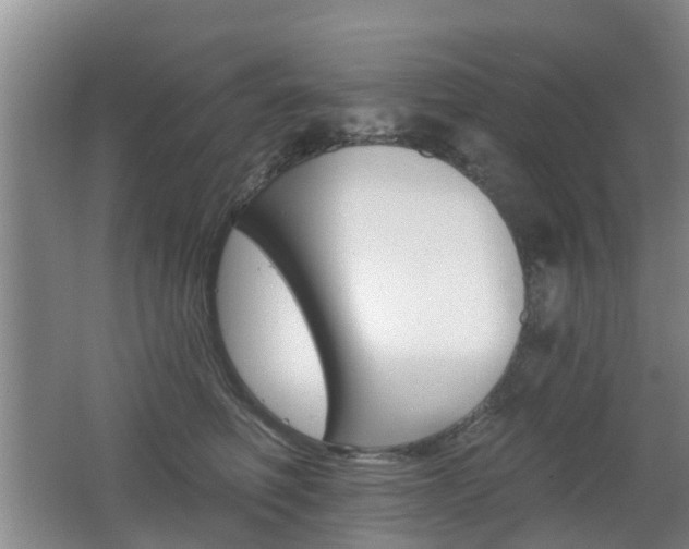 X0000062640614200512211009