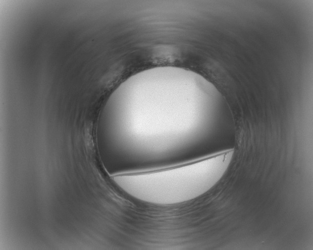 X0000062640616200512211009