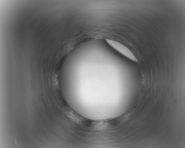 X0000062640621200512211009