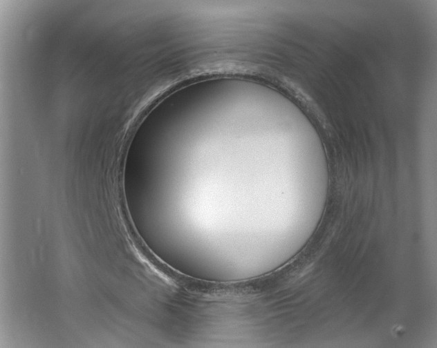 X0000062640625200512211008