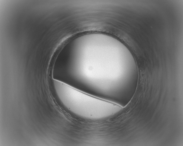 X0000062640628200512211008