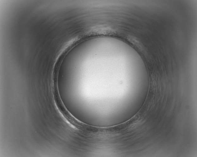 X0000062640630200512211008