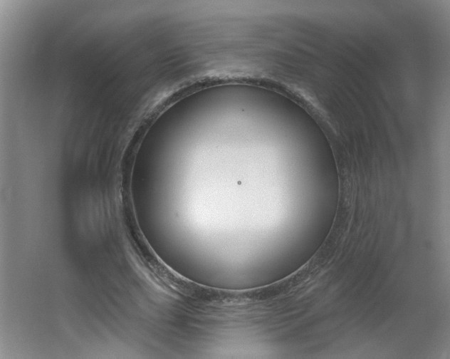 X0000062640631200512211008