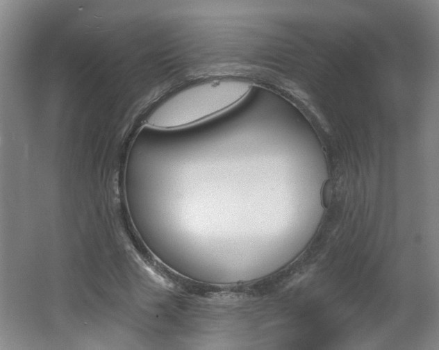 X0000062640633200512211008