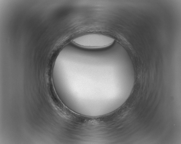 X0000062640635200512211008