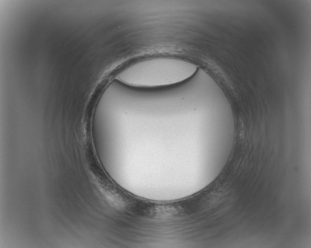 X0000062640636200512211008