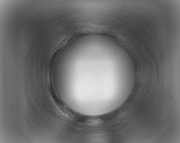 X0000062640642200512211008