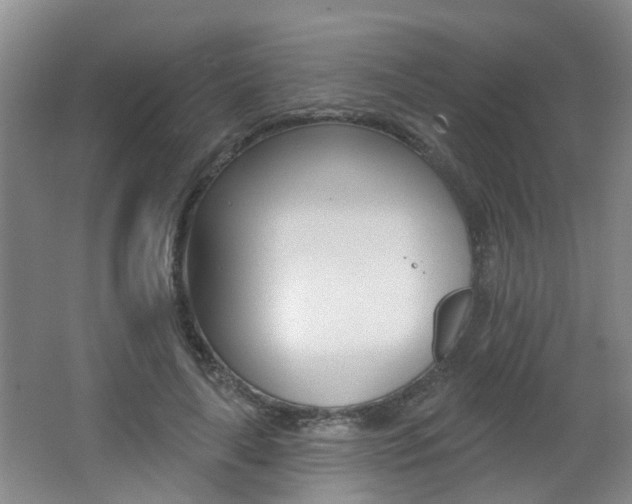 X0000062640643200512211008