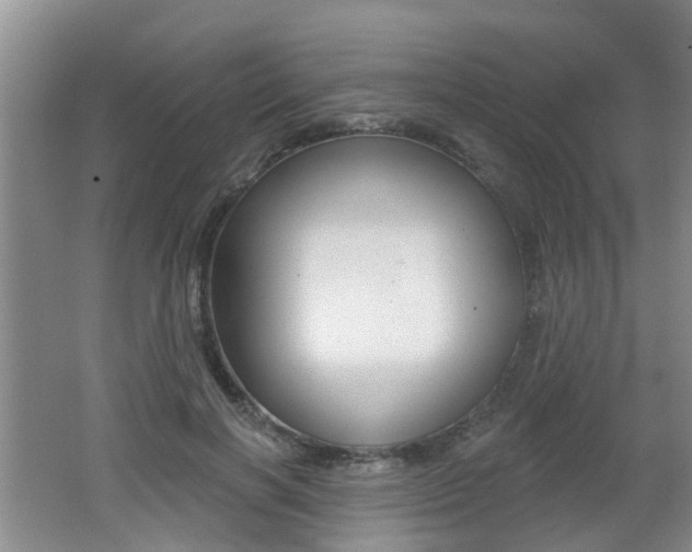 X0000062640646200512211008