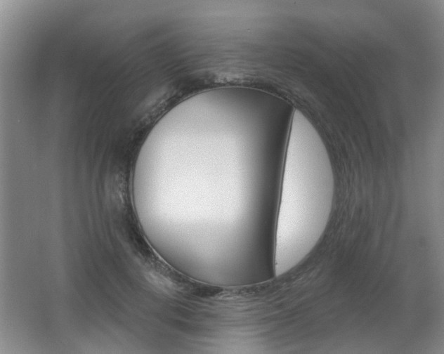 X0000062640648200512211008