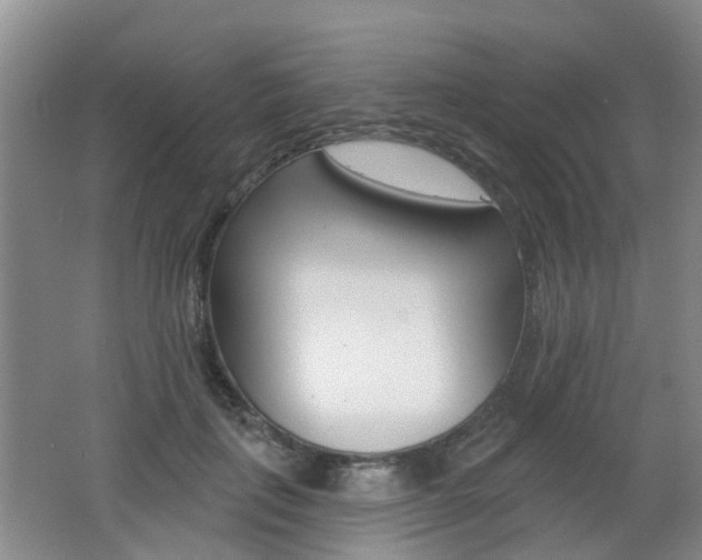 X0000062640651200512211008