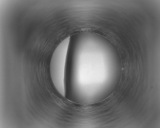 X0000062640653200512211009