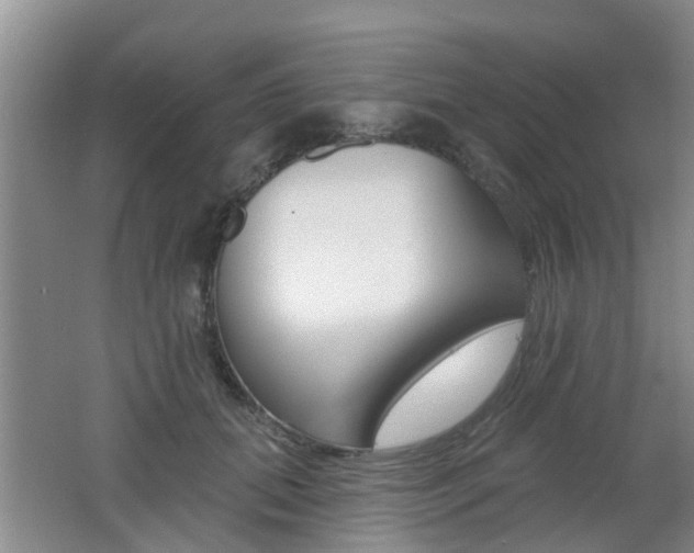 X0000062640655200512211009