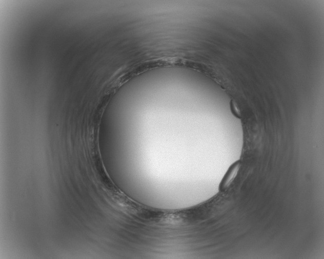 X0000062640656200512211009