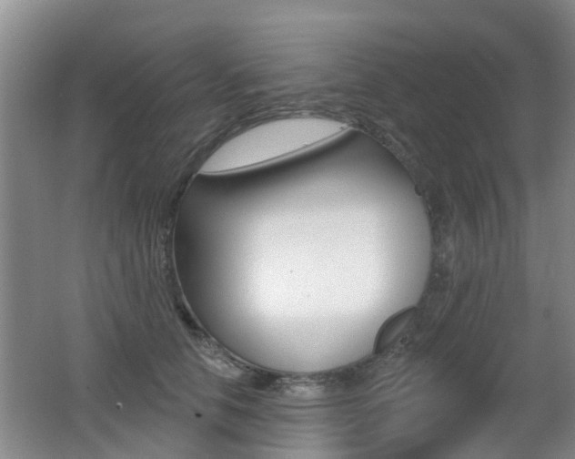 X0000062640658200512211009