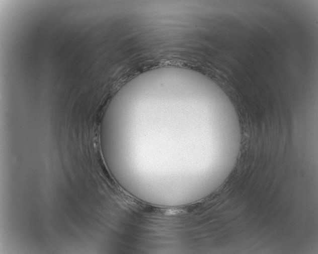 X0000062640663200512211009