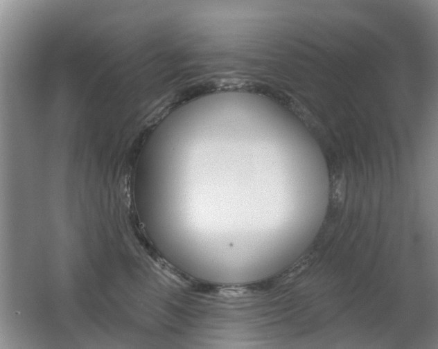 X0000062640666200512211009