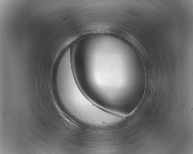 X0000062640677200512211008