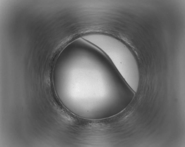 X0000062640681200512211008
