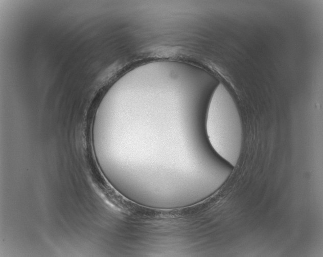 X0000062640682200512211008