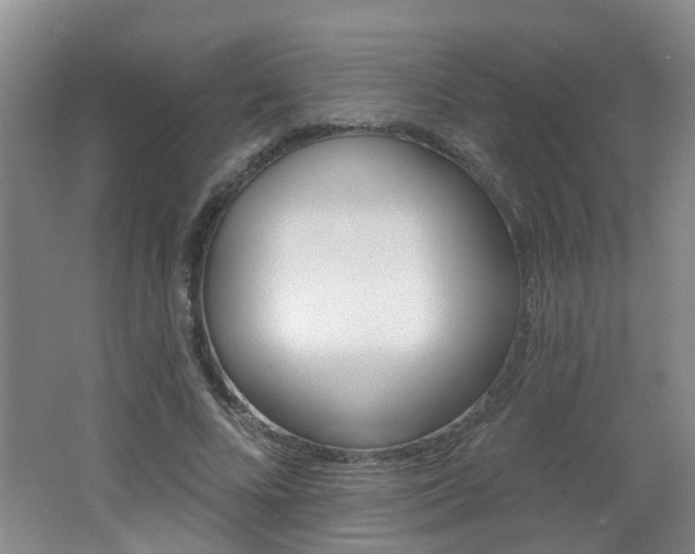 X0000062640688200512211008