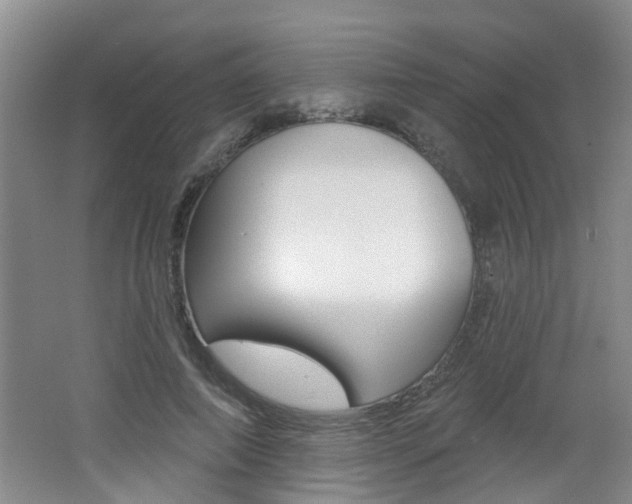 X0000062640690200512211008