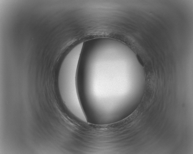 X0000062640692200512211008