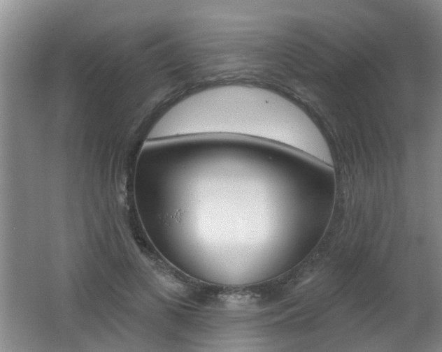 X0000062640693200512211008