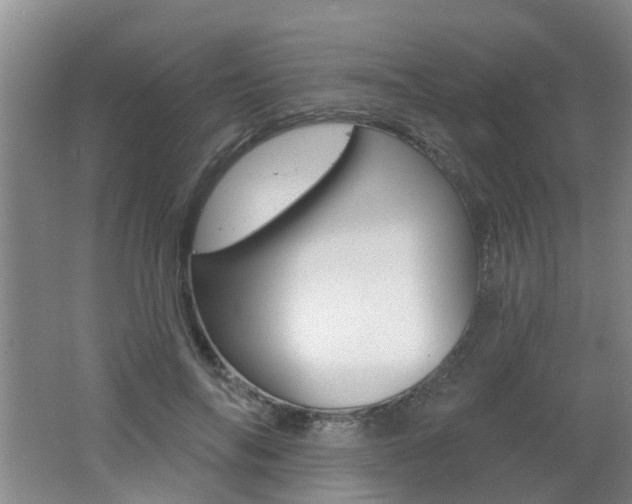 X0000062640694200512211008