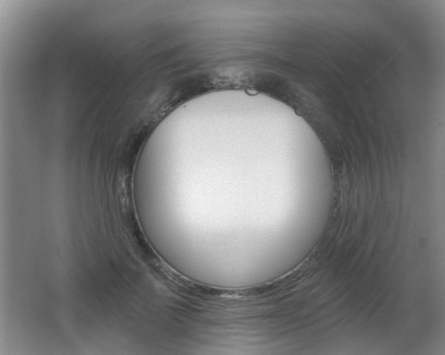 X0000062640699200512211008