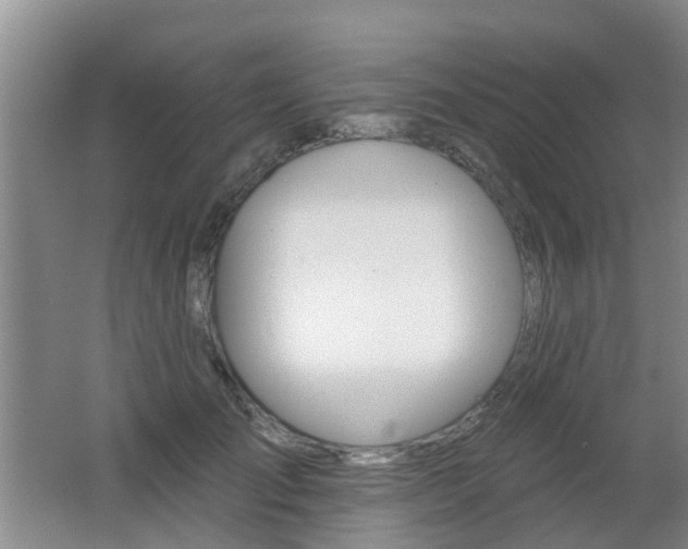 X0000062640701200512211008