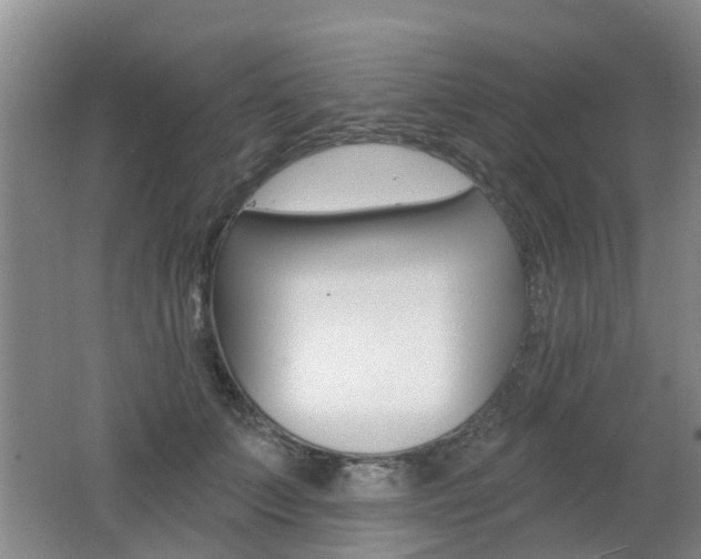 X0000062640703200512211008