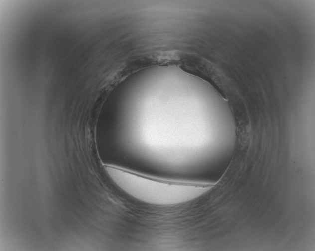 X0000062640704200512211007