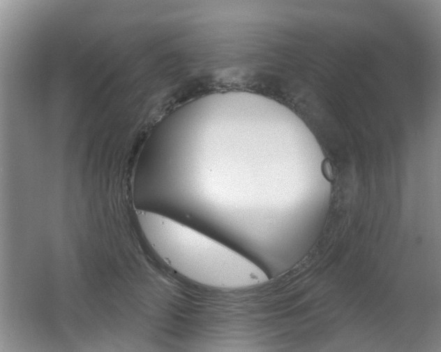 X0000062640706200512211007