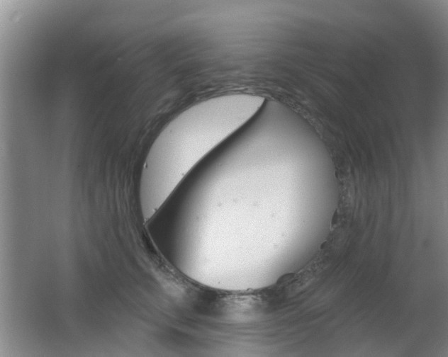 X0000062640711200512211007