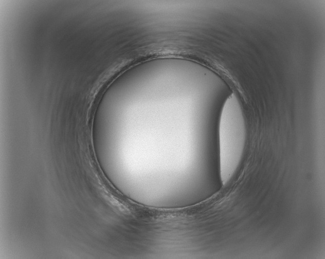 X0000062640721200512211006