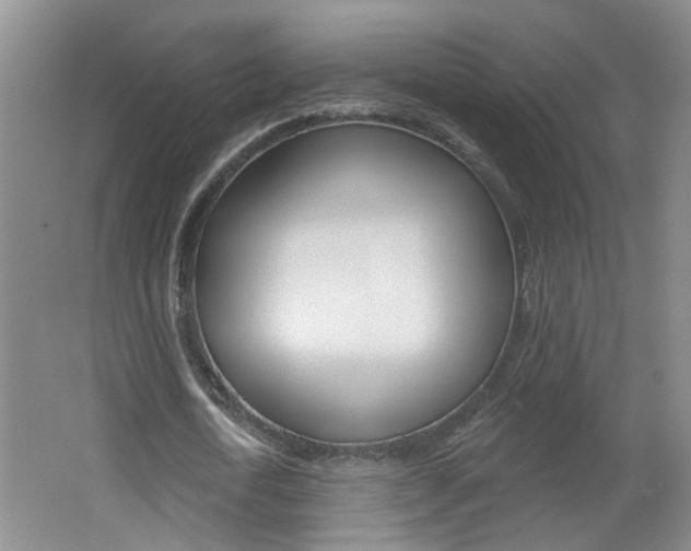 X0000062640722200512211006