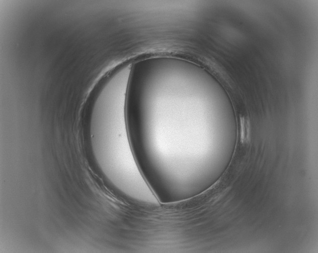X0000062640723200512211006