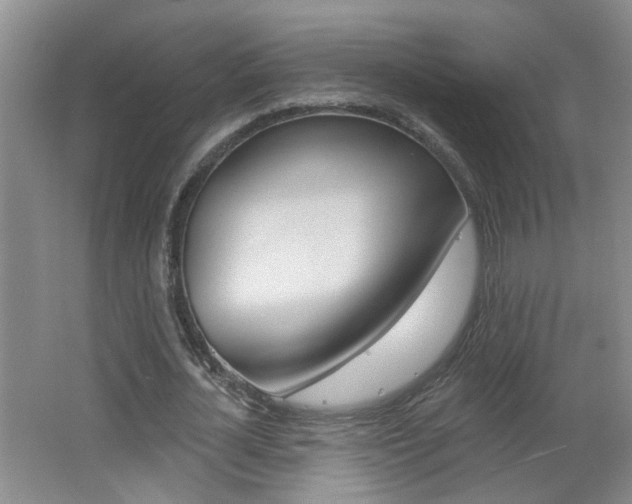 X0000062640724200512211006