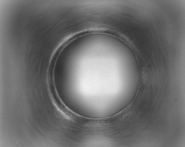 X0000062640726200512211006