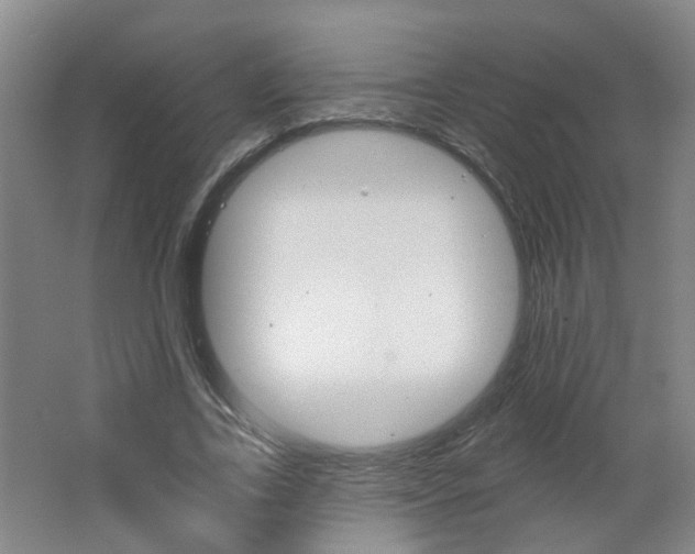 X0000062640731200512211007
