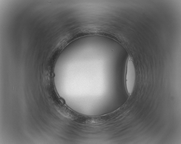 X0000062640739200512211007